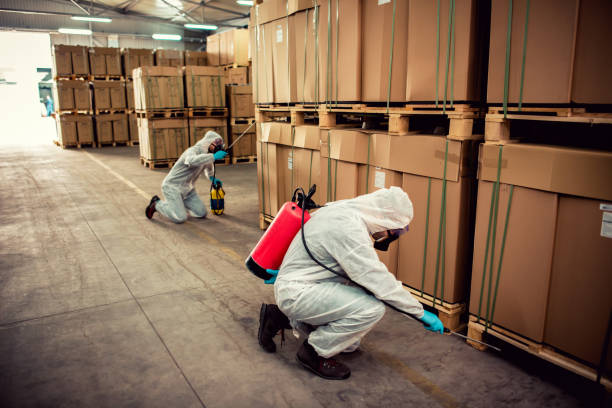Best Affordable Pest Control Services  in Hillandale, MD