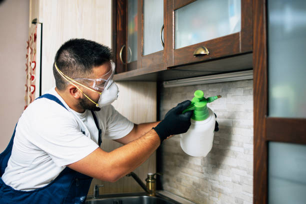 Best Wildlife Control Services  in Hillandale, MD