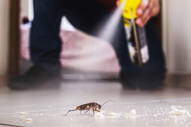 Pest Control Cost in Hillandale, MD